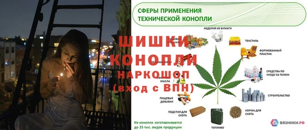 дмт Каменногорск
