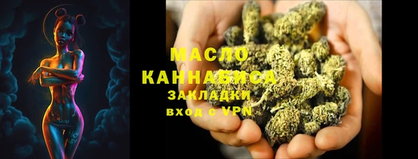 дмт Каменногорск