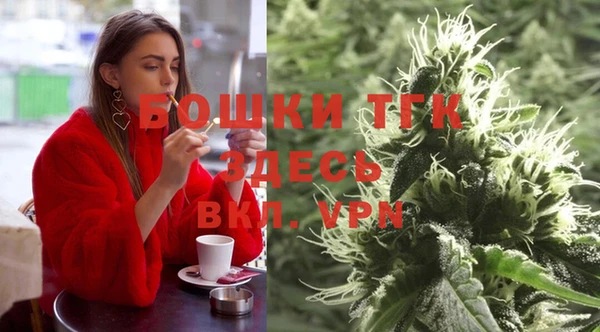 дмт Каменногорск