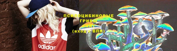 дмт Каменногорск